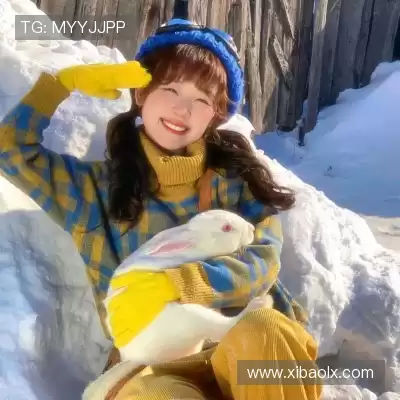 孙楠奔