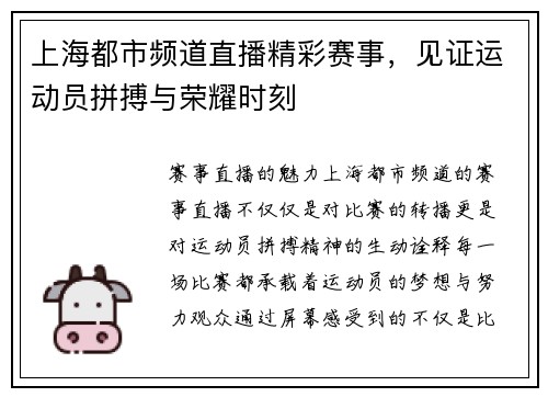 上海都市频道直播精彩赛事，见证运动员拼搏与荣耀时刻