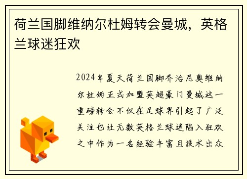荷兰国脚维纳尔杜姆转会曼城，英格兰球迷狂欢
